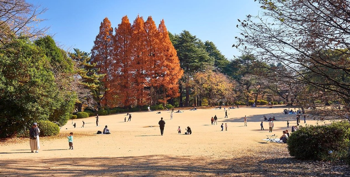 木々に囲まれた土の広場で親子が過ごすこども広場