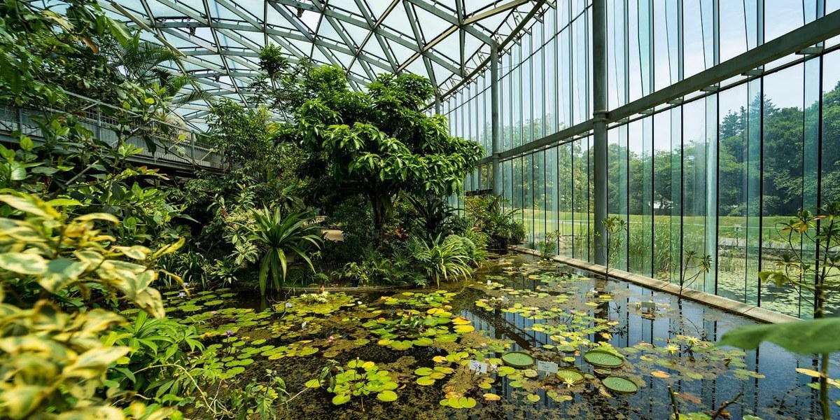ガラス屋根の下に熱帯の植物とスイレンの池が広がる温室