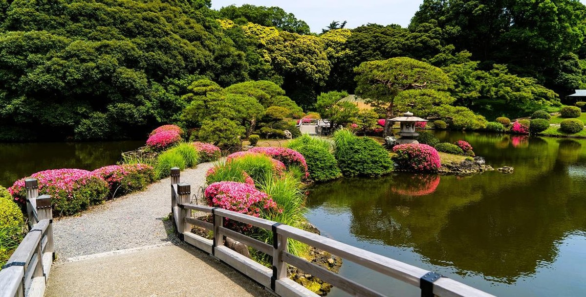 池に架かる橋の両脇にツツジが咲く日本庭園